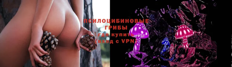 Псилоцибиновые грибы MAGIC MUSHROOMS  купить наркотик  Западная Двина 